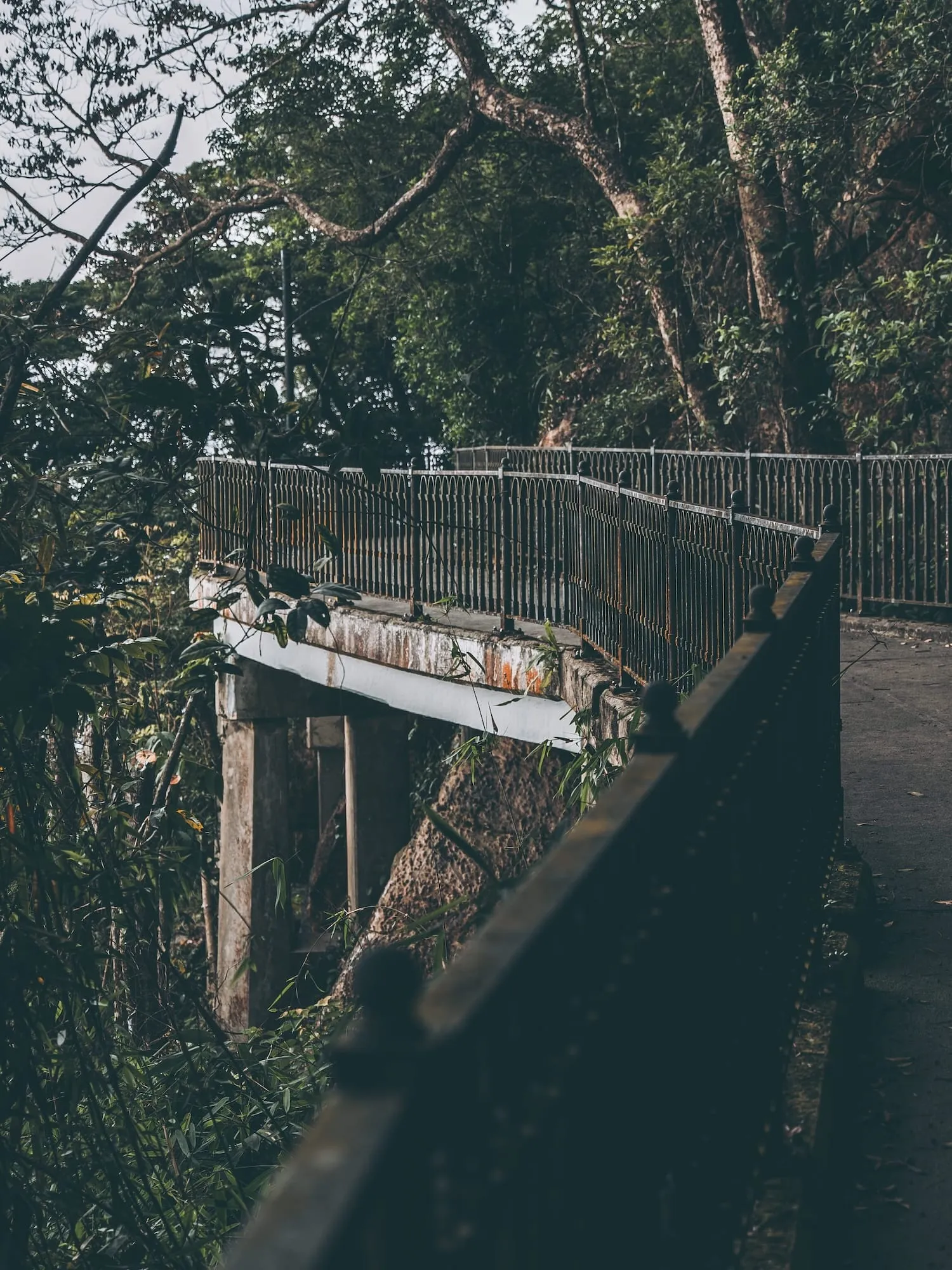 懸空的三合土橋柱