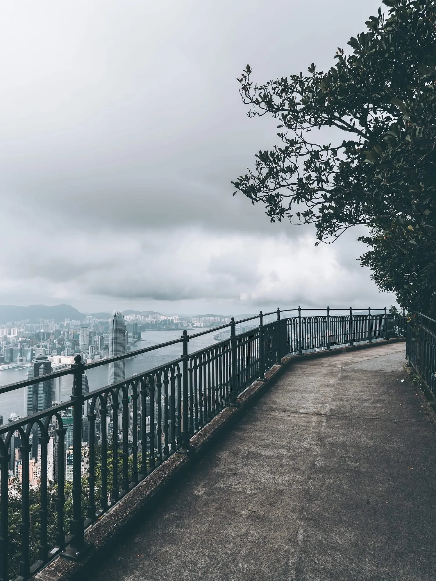 扭花欄杆與維港對比