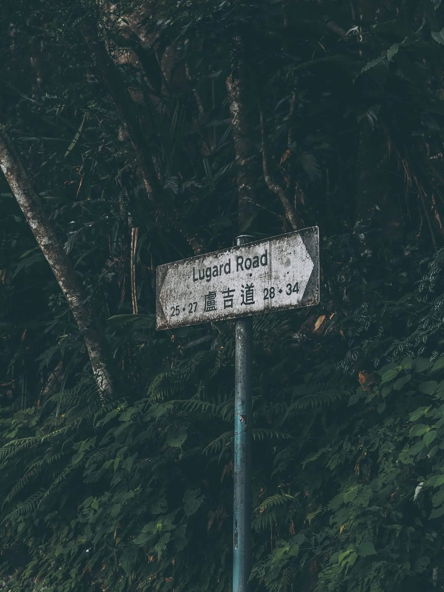 盧吉道斑駁路牌